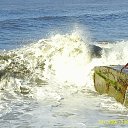 ���� ��������, ������, 59 ��� - ��������� 28 ������� 2017