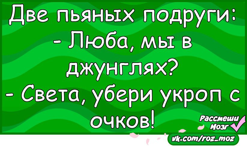 Шутки в двух словах. Шутки про любу смешные. Анекдоты про любу. Смешные анекдоты про любу. Анекдоты про укропов.