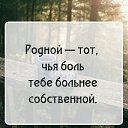���� �����, �������, 52 ���� - ��������� 5 ���� 2017