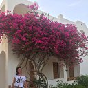 ���� ��������, �����, 49 ��� - ��������� 27 ��� 2017 � ������ ���� ����������