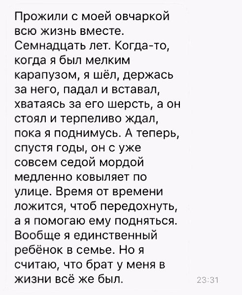   - 10  2017  12:12