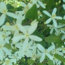 ���� ������, ������� - ��������� 24 ���� 2017 � ������ ������ ��������