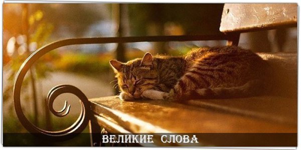 Не бывает поздно, бывает уже не надо...