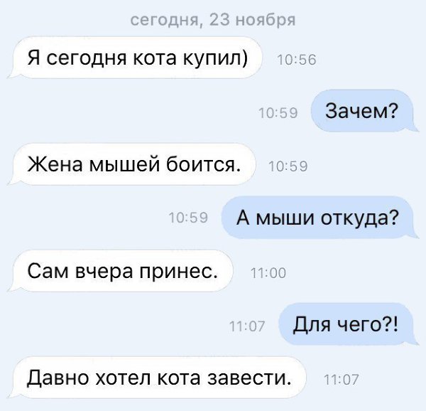   |  - 21  2017  20:46