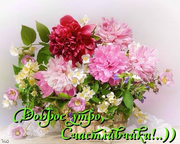 Доброе утро, Счастливчики!..)) Пусть этот день подарит всем.Любовь и радость перемен...))