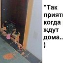  ,  -  7  2017    