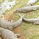 ���� ������, �������� - ��������� 13 ������ 2017 � ������ ���� ����������