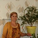 ���� �������, ������ - ��������� 10 �������� 2017 � ������ ���� ����������