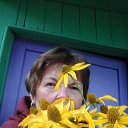 ���� ����, ���� - ��������� 12 �������� 2017 � ������ ������ ��������