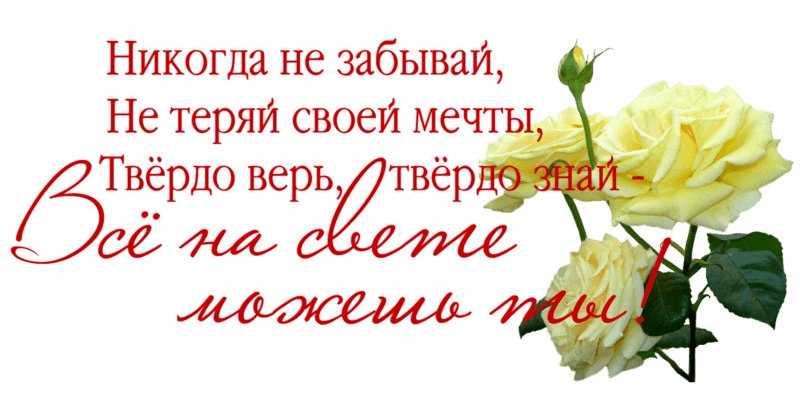   - 15  2017  04:44
