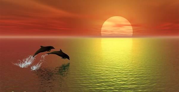 .    !!!   Ѩ !!!! - 3