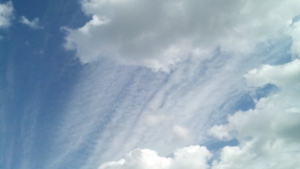 ���� ������� - 3 ���� 2017 � 19:32 - 7
