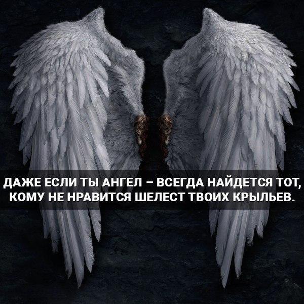   -  ,  -  - 20  2017  14:03