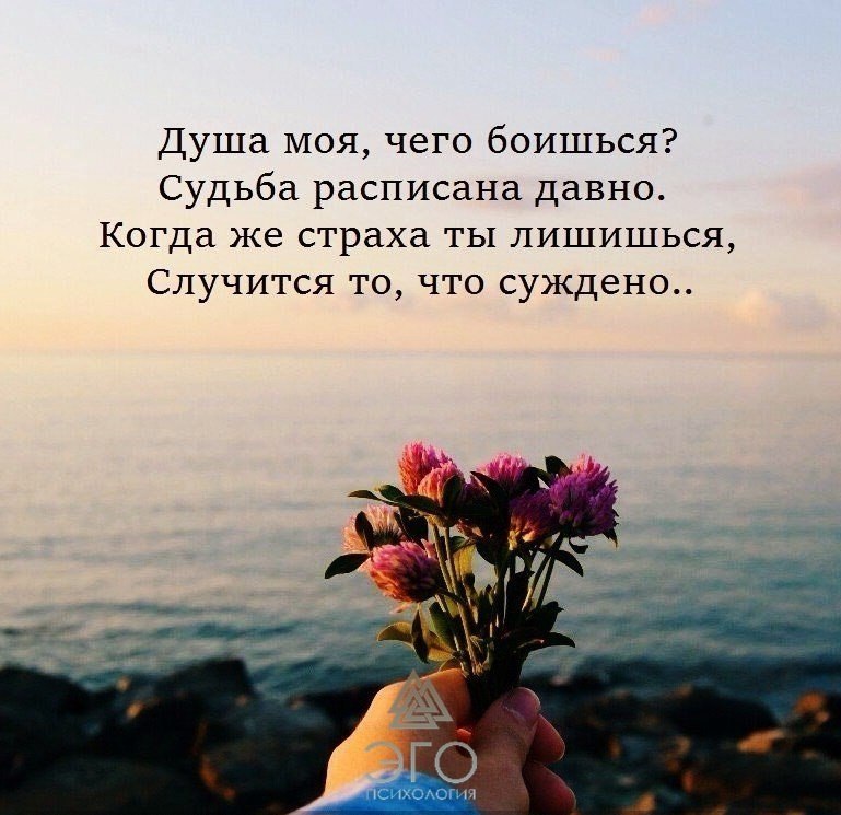  | ,  - 21  2017  19:00