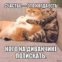 ���� ����, �����-��������� - ��������� 14 ������� 2017 � ������ ���� ����������