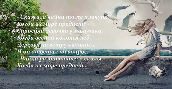   - 7  2017  11:30