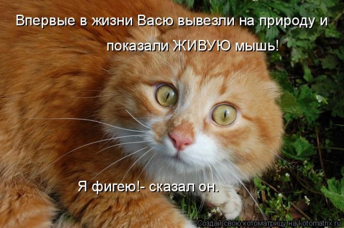    .     ))) - 21