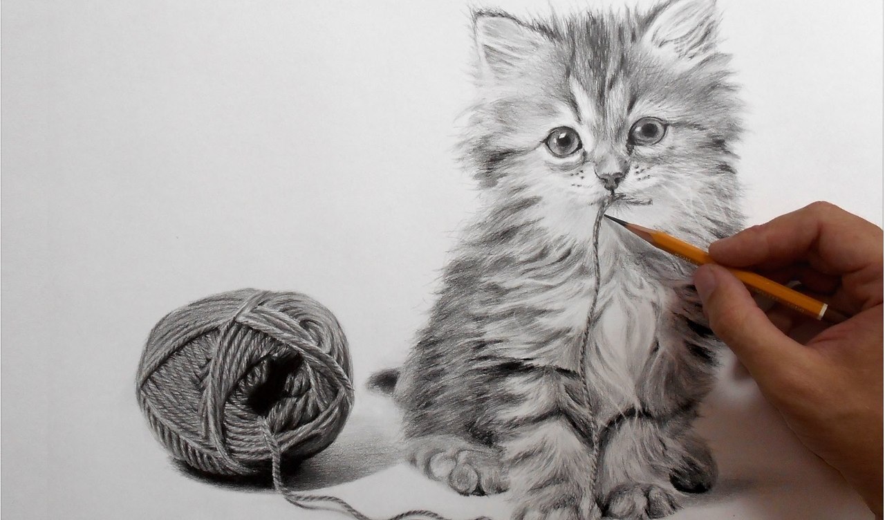 CATS OF ALL - 10  2017  00:48