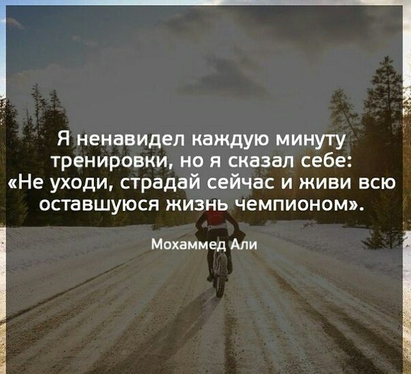 ����� - ��� ����� - 25 �������� 2017 � 13:06