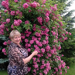 ������, ��������, 69 ���