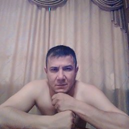 Dimon, �������, 48 ���