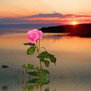 ���� Tatiana, ���� - ��������� 19 ��� 2017 � ������ ���� ����������