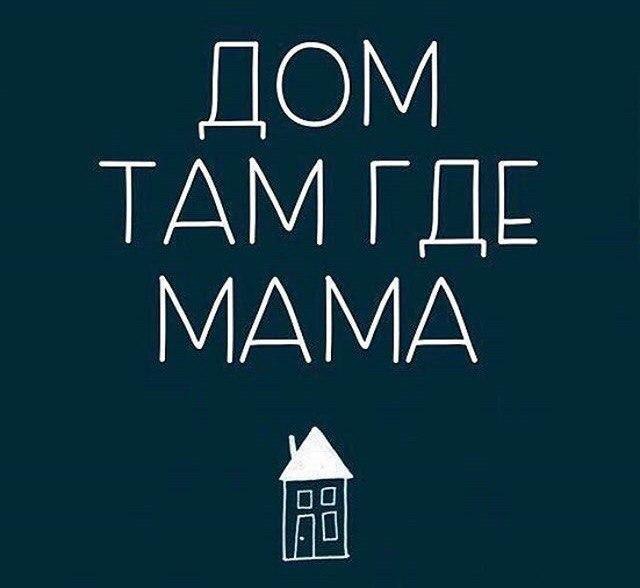   -  ,  -  - 23  2017  03:11