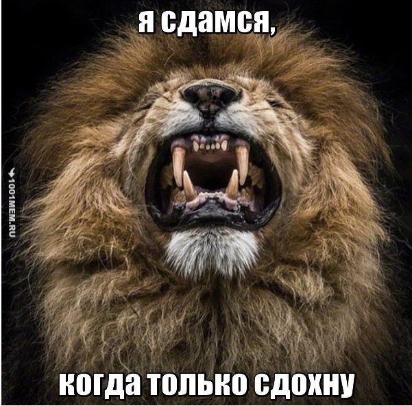  -   - 14  2017  06:03