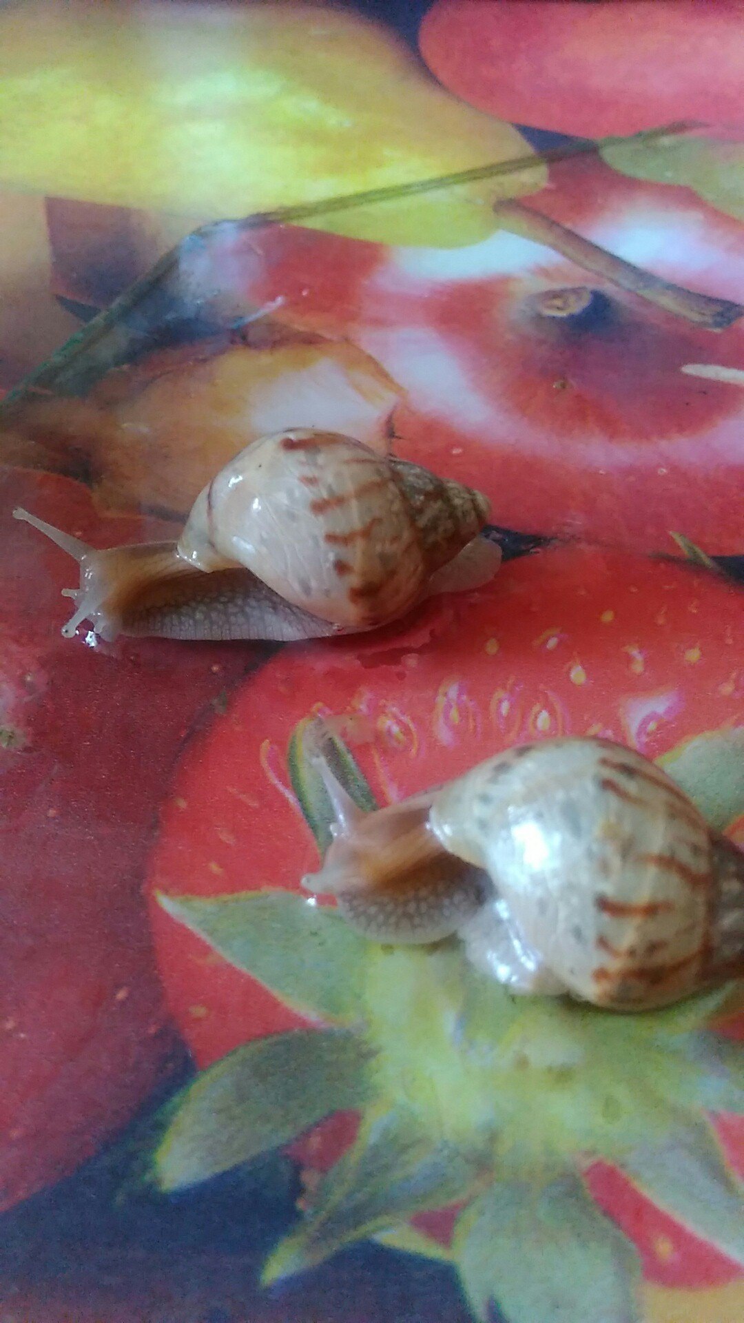      - 2
