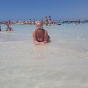  ***  ***,  , 50  -  11  2017    