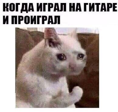   - 22  2017  17:44
