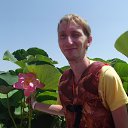 ���� �����, ������ �����, 36 ��� - ��������� 12 ���� 2017