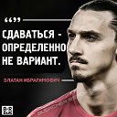 ���� �����, ���, 35 ��� - ��������� 2 ��� 2017 � ������ ���� ����������