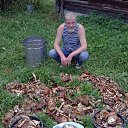 ���� ��������, ������, 67 ��� - ��������� 18 ������� 2017 � ������ ���� ����������