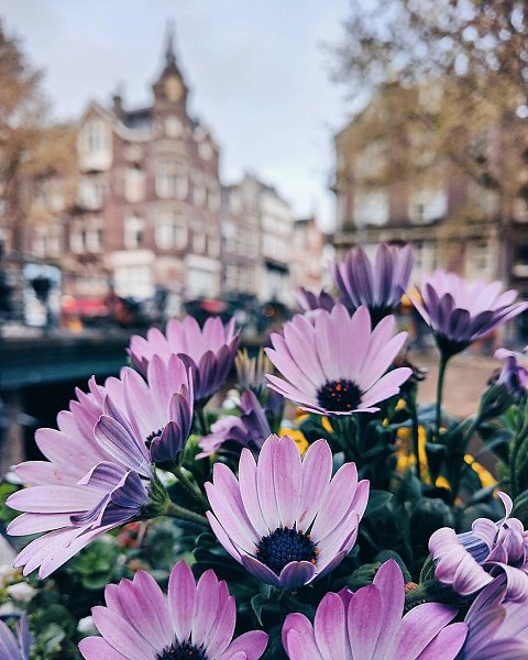 Netherlands