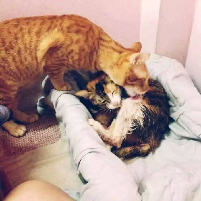 -,       -   ,   ... - 3