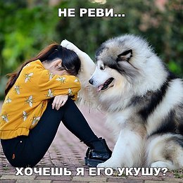      - 1  2017  07:15