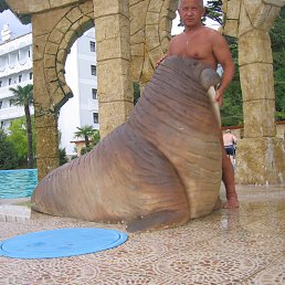 ���� ϸ��, �������� - ��������� 30 ��� 2017