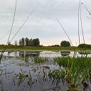  Oleg Son, , 48  -  24  2017    