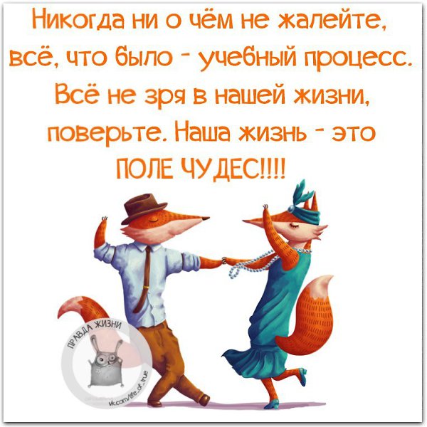   - 10  2017  02:14