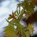 ���� ������, ������, 49 ��� - ��������� 21 ������ 2017 � ������ �SONY�