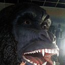 ���� ����, ������, 48 ��� - ��������� 24 ������� 2017 � ������ ���� ����������