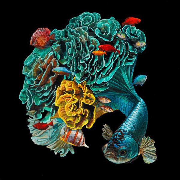   (Lisa Ericson)  ,   ,    ,  ... - 10