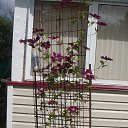 ���� ���������, �������� - ��������� 1 ������� 2017 � ������ ���� ����������