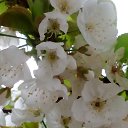 ���� Irina, ������, 55 ��� - ��������� 19 ��� 2017 � ������ ���� ����������