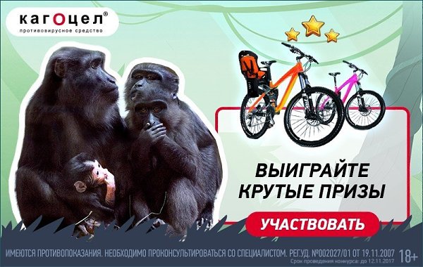 Торопитесь играть! Ответьте правильно на веселые вопросы и вы сможете выиграть велосипеды для всей ...