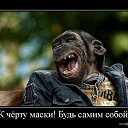 ���� Metiz, ������ - ��������� 9 ������ 2017 � ������ ���� ����������