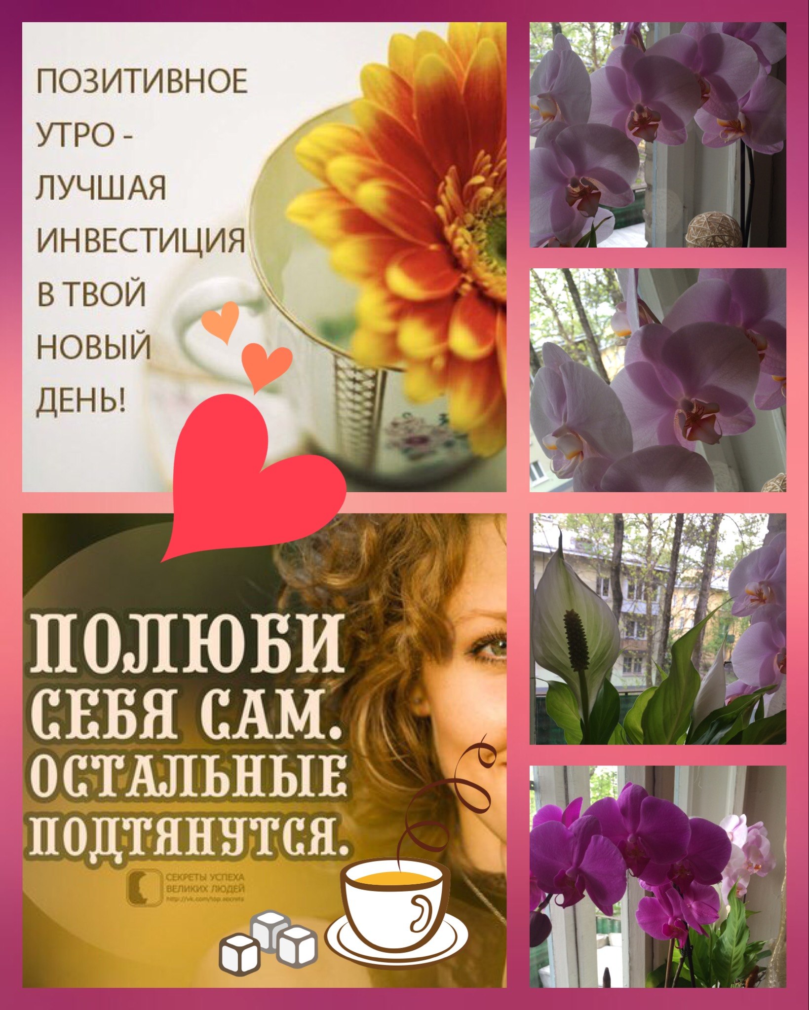  !!!)))