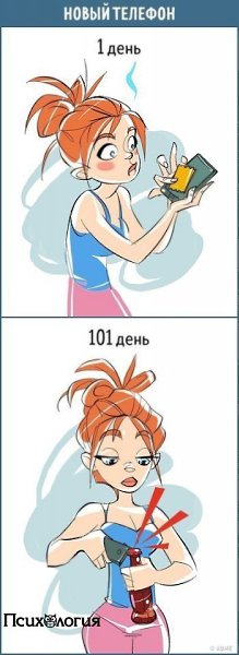 10 комиксов о том, как меняется наше отношение к любым вещам за каких-то 100 дней.