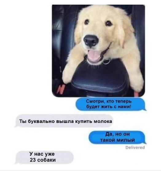   - 16  2017  15:05
